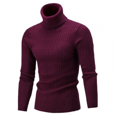 Solid Casual Tröja Med Turtleneck