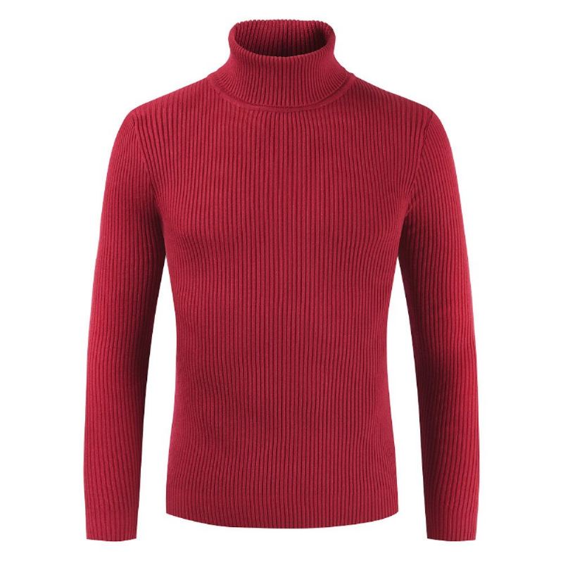 Turtleneck Slim Pullover