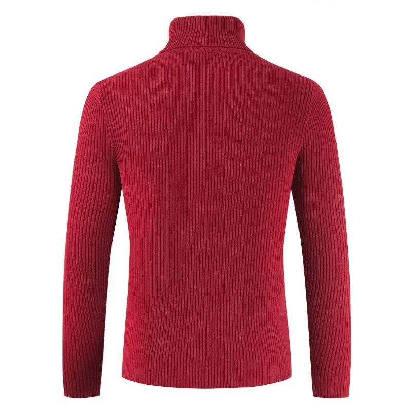 Turtleneck Slim Pullover