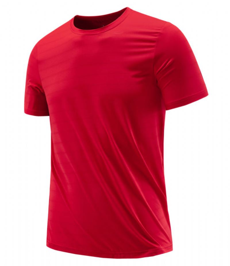 Quick Dry Fit Fitness Gym T-shirt