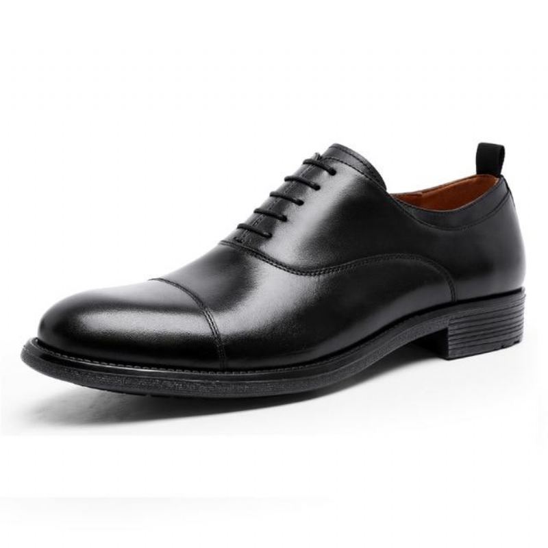 Gentleman Retro Lack Oxford